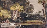 Winslow Homer, Homosassa Jungle (mk44)